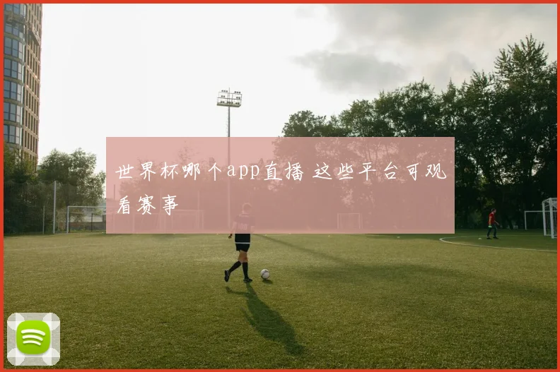 世界杯哪个app直播 这些平台可观看赛事