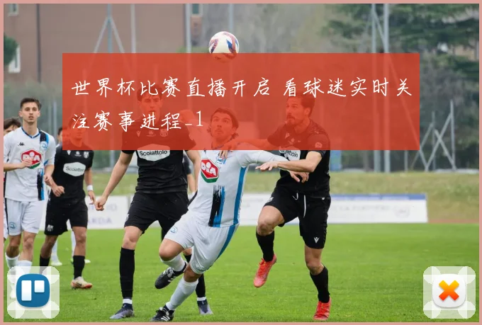 世界杯比赛直播开启 看球迷实时关注赛事进程_1