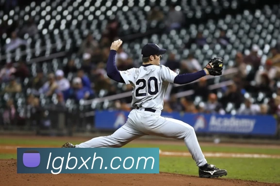 App Interface Preview